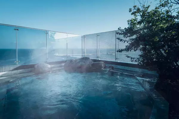 「桜が目の前に迫る特等席！ 伊豆の桜名所を巡るオープンバスツアー【2026春】星野リゾート「界」で 究極のお花見体験 3/27開始」の画像