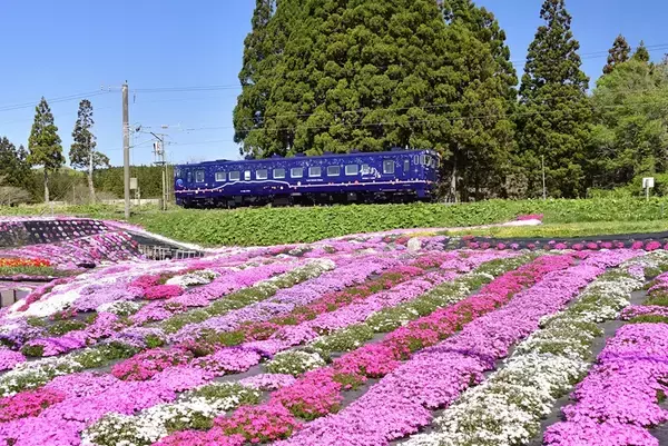 「2026年夏も必須！「青春18きっぷ 北海道新幹線オプション券」自動改札対応ルールと途中下車の罠」の画像