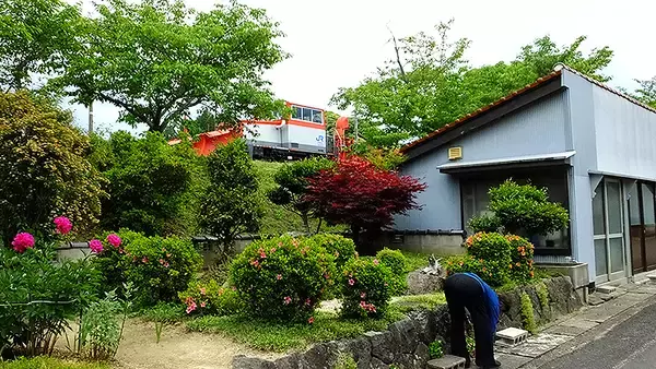 「島根県 木次線の列車や駅舎の影に潜むザリガニ、赤川の河川敷ですごすお昼＆おやつ時間♪」の画像