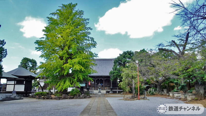 つくばエクスプレス【駅ぶら】043　南流山駅　その4　東福寺　境内