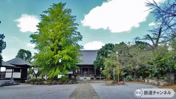 「つくばエクスプレス【駅ぶら】043　南流山駅　その4　東福寺　境内」の画像
