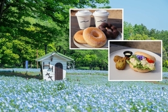 国営昭和記念公園「フラワーフェスティバル」が開催中！さくら･チューリップ･ネモフィラの絶景リレーとシャボン玉演出、限定グルメなど紹介