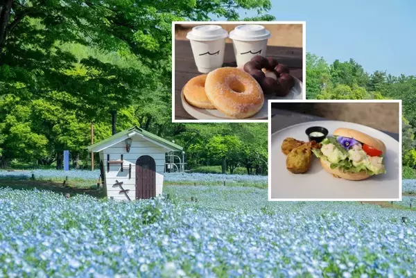 国営昭和記念公園「フラワーフェスティバル」が開催中！さくら･チューリップ･ネモフィラの絶景リレーとシャボン玉演出、限定グルメなど紹介
