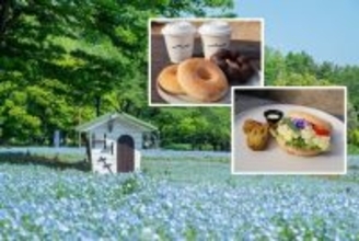 国営昭和記念公園「フラワーフェスティバル」が開催中！さくら･チューリップ･ネモフィラの絶景リレーとシャボン玉演出、限定グルメなど紹介