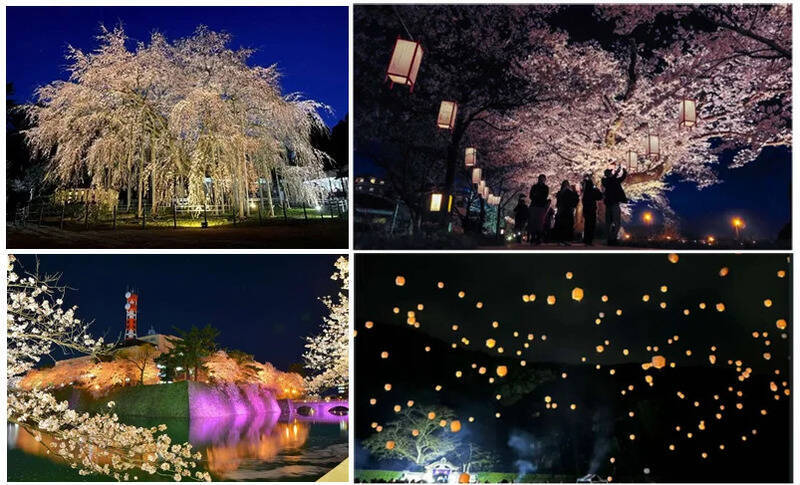 【2026】福井・足羽川の桜並木が「桜のトンネル」に！北陸新幹線で東京から2時間50分、2.2kmの絶景お花見ガイド