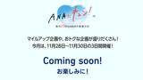 「ANAブラックフライデー  “減額マイル” でハワイや国内全路線へ！ ECセールは“最大87%OFF” 、月末は「ANAにキュン!」も特別開催 11/21～」の画像3