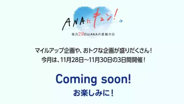 「ANAブラックフライデー  “減額マイル” でハワイや国内全路線へ！ ECセールは“最大87%OFF” 、月末は「ANAにキュン!」も特別開催 11/21～」の画像