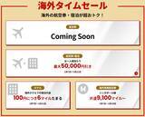 「【JAL新春セール2026】国内線7,700円〜＆特典航空券もマイル割引！ハワイ旅行が当たる豪華キャンペーンも、1月7日～開催」の画像3