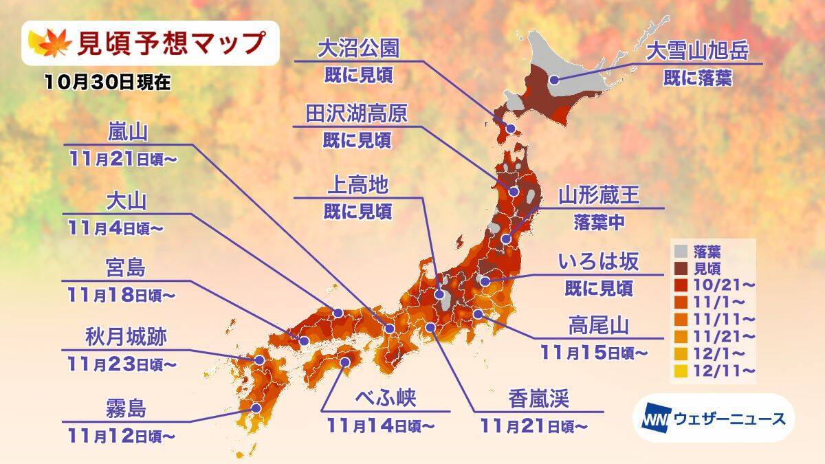 全国地域別【紅葉予想2025】人気名所の見頃をチェック！本州〜九州では平年並から遅く、日光･高尾山･箱根･嵐山はいつが見頃？
