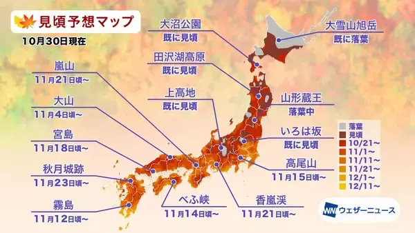 「全国地域別【紅葉予想2025】人気名所の見頃をチェック！本州〜九州では平年並から遅く、日光･高尾山･箱根･嵐山はいつが見頃？」の画像