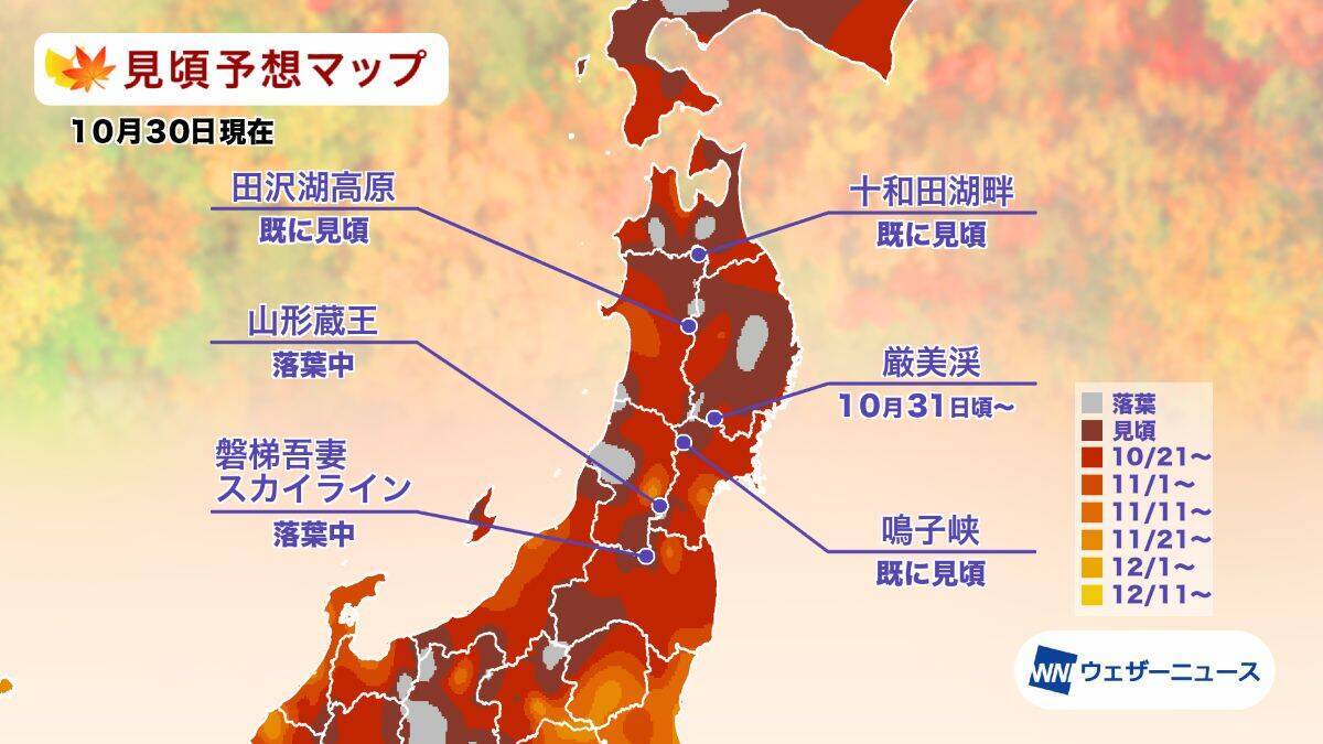 全国地域別【紅葉予想2025】人気名所の見頃をチェック！本州〜九州では平年並から遅く、日光･高尾山･箱根･嵐山はいつが見頃？