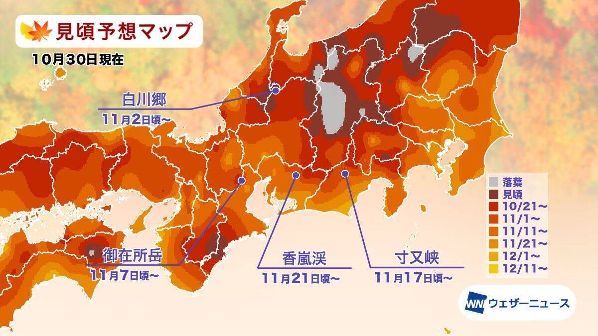 全国地域別【紅葉予想2025】人気名所の見頃をチェック！本州〜九州では平年並から遅く、日光･高尾山･箱根･嵐山はいつが見頃？