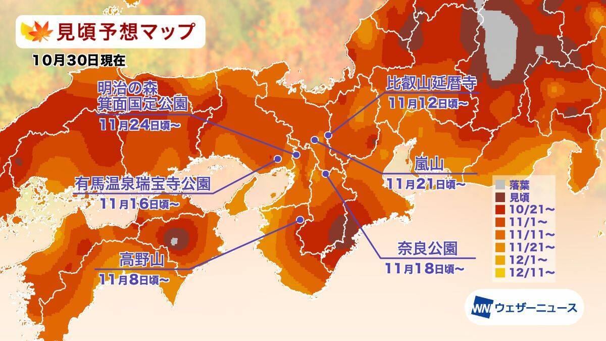 全国地域別【紅葉予想2025】人気名所の見頃をチェック！本州〜九州では平年並から遅く、日光･高尾山･箱根･嵐山はいつが見頃？