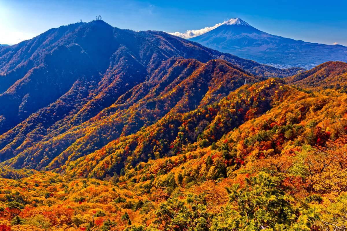 全国地域別【紅葉予想2025】人気名所の見頃をチェック！本州〜九州では平年並から遅く、日光･高尾山･箱根･嵐山はいつが見頃？