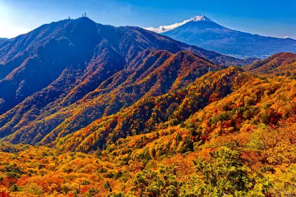 「全国地域別【紅葉予想2025】人気名所の見頃をチェック！本州〜九州では平年並から遅く、日光･高尾山･箱根･嵐山はいつが見頃？」の画像