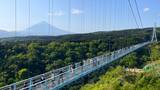 「富士山が眺められる 日本一の歩行者専用つり橋「三島スカイウォーク」 迫力のジップスライドなども楽しめます （静岡県 三島市）」の画像1