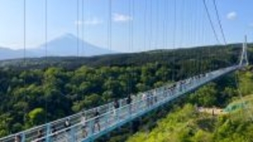 富士山が眺められる 日本一の歩行者専用つり橋「三島スカイウォーク」 迫力のジップスライドなども楽しめます （静岡県 三島市）