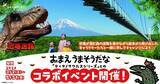 「富士山が眺められる 日本一の歩行者専用つり橋「三島スカイウォーク」 迫力のジップスライドなども楽しめます （静岡県 三島市）」の画像5