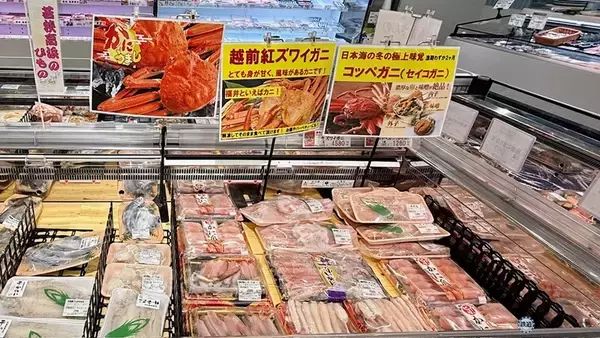 「【海の幸編】北陸新幹線で行く福井･若狭のグルメ旅！「鯖街道」の伝統からJAXA認証の宇宙食、へしこ、職人技が光る手すき昆布までレポート」の画像