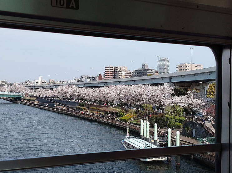 隅田川橋梁を行く東武スカイツリートレインからお花見 わずか5分の絶景電車 サクラトレイン 4 1まで毎日運行中 22年3月23日 エキサイトニュース