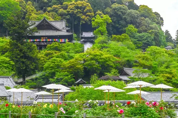 「【秋の奈良へ行こう】定番＆穴場観光のおすすめ混雑回避ルート！夜間拝観･紅葉･QuizKnock謎解きなど2025年秋の情報をお届け」の画像