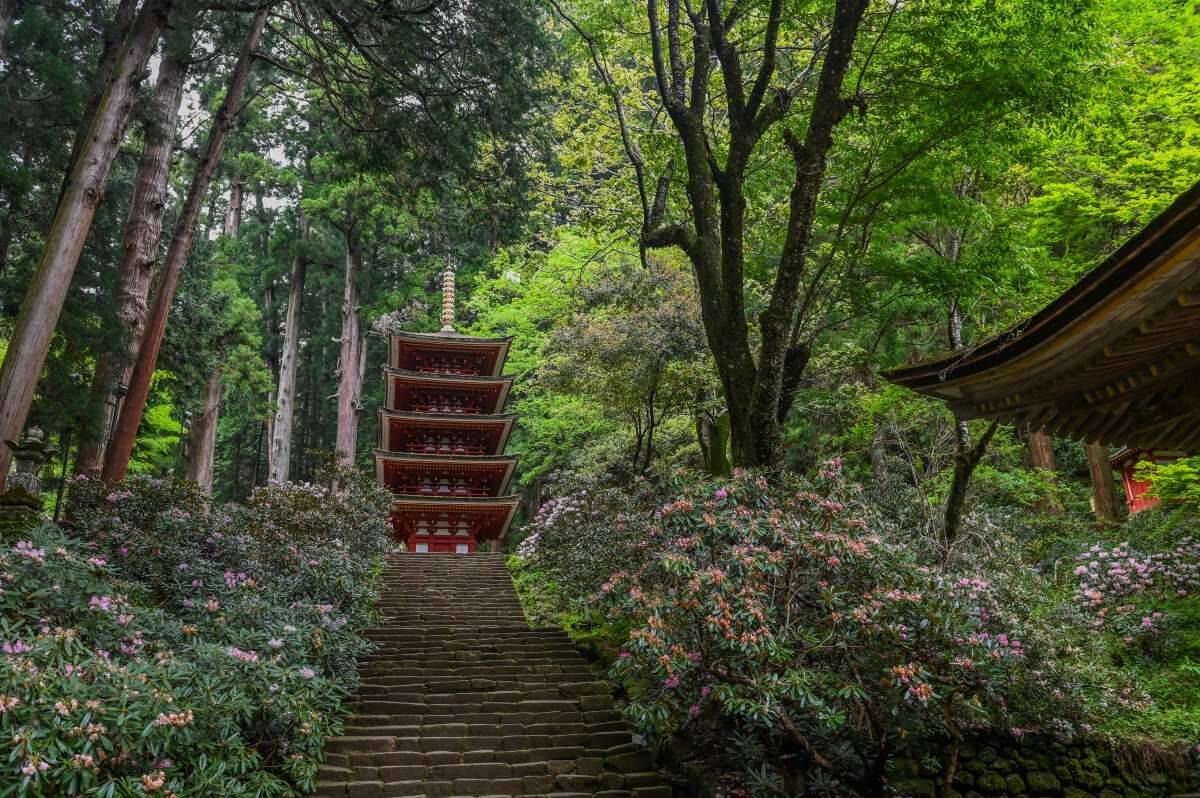 【秋の奈良へ行こう】定番＆穴場観光のおすすめ混雑回避ルート！夜間拝観･紅葉･QuizKnock謎解きなど2025年秋の情報をお届け