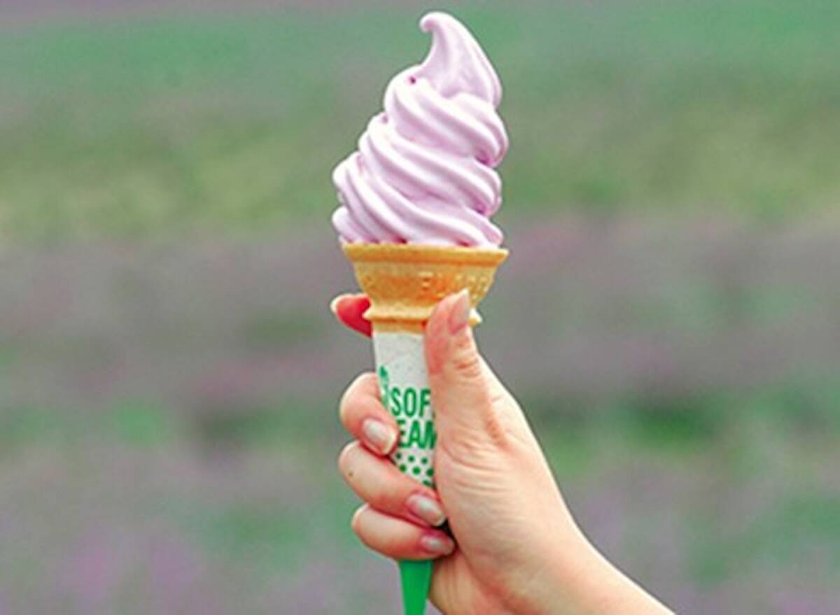 【群馬県】たんばらラベンダーパーク「約3万株のラベンダー」が見頃！新幹線＆無料送迎バスで都心から約1時間半で夏の絶景を！