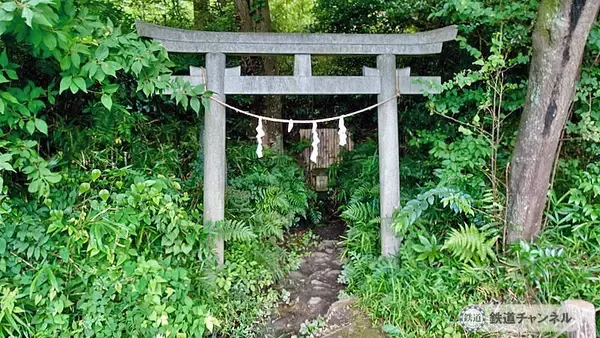 浅間山公園は原生林ではありません【駅ぶら】06京王電鉄　京王線131