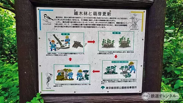 「浅間山公園は原生林ではありません【駅ぶら】06京王電鉄　京王線131」の画像