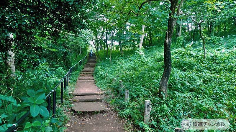 浅間山公園は原生林ではありません【駅ぶら】06京王電鉄　京王線131