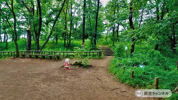 「浅間山公園は原生林ではありません【駅ぶら】06京王電鉄　京王線131」の画像