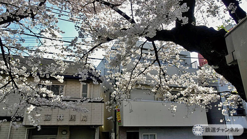 井の頭公園ホームです【駅ぶら】06京王電鉄470　井の頭線101