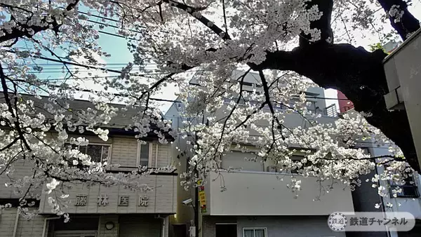 「井の頭公園ホームです【駅ぶら】06京王電鉄470　井の頭線101」の画像