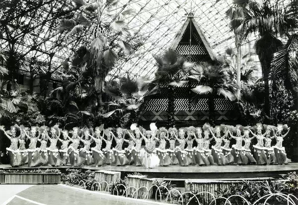 「「都心から2時間のハワイ」スパリゾートハワイアンズが劇的進化！4人部屋 新客室やショーのリニューアルも！歴史を振り返りつつご紹介」の画像