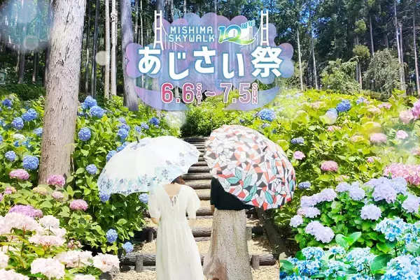 三島スカイウォーク 215品種「あじさい祭」は6/6から！見頃･ライトアップ･バスアクセス徹底ガイド、雨の日こそ絶景！（静岡県 三島市）
