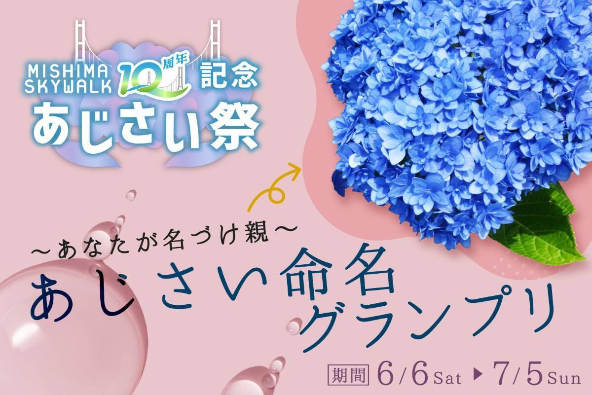三島スカイウォーク 215品種「あじさい祭」は6/6から！見頃･ライトアップ･バスアクセス徹底ガイド、雨の日こそ絶景！（静岡県 三島市）