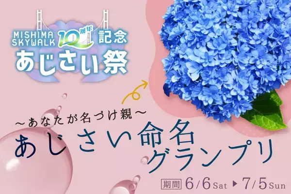 「三島スカイウォーク 215品種「あじさい祭」は6/6から！見頃･ライトアップ･バスアクセス徹底ガイド、雨の日こそ絶景！（静岡県 三島市）」の画像