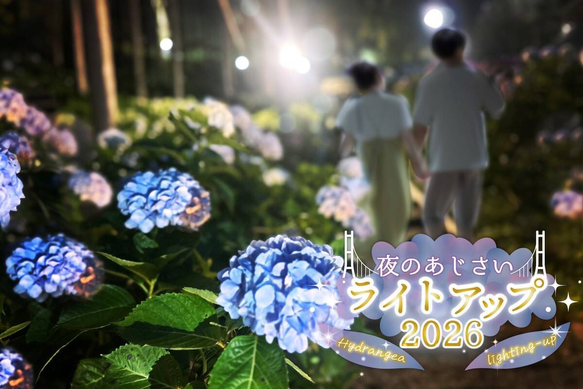 三島スカイウォーク 215品種「あじさい祭」は6/6から！見頃･ライトアップ･バスアクセス徹底ガイド、雨の日こそ絶景！（静岡県 三島市）