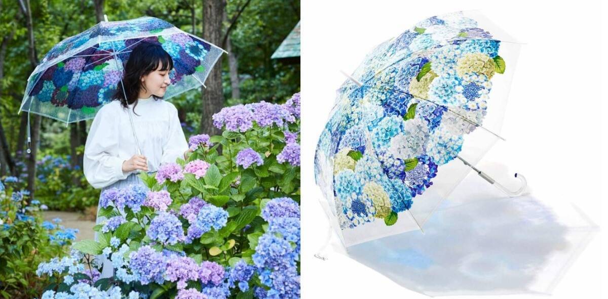 三島スカイウォーク 215品種「あじさい祭」は6/6から！見頃･ライトアップ･バスアクセス徹底ガイド、雨の日こそ絶景！（静岡県 三島市）