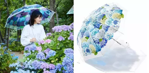 「三島スカイウォーク 215品種「あじさい祭」は6/6から！見頃･ライトアップ･バスアクセス徹底ガイド、雨の日こそ絶景！（静岡県 三島市）」の画像