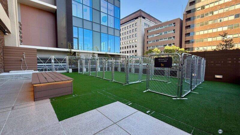 【星野リゾート】OMO7横浜が4/21開業！ 村野藤吾建築「旧横浜市庁舎」を再生、日本初“パン飲み”ベーカリーやハマスタビュー絶景テラスの全貌