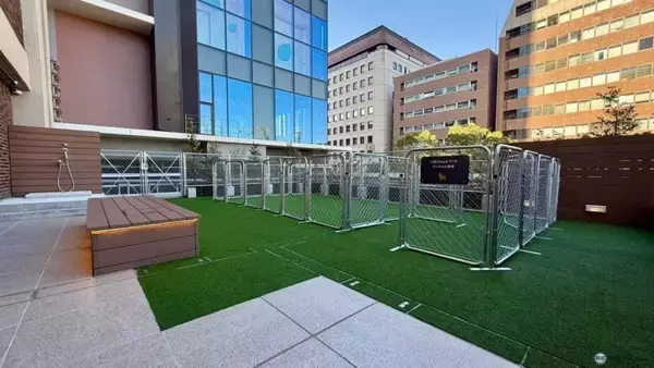 「【星野リゾート】OMO7横浜が4/21開業！ 村野藤吾建築「旧横浜市庁舎」を再生、日本初“パン飲み”ベーカリーやハマスタビュー絶景テラスの全貌」の画像