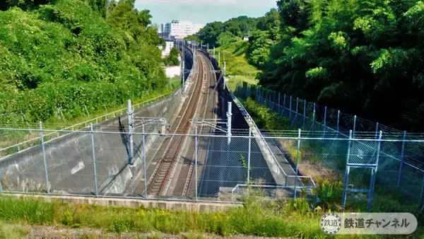つくばエクスプレス【駅ぶら】055　流山セントラルパーク駅　その9　思井熊野神社　庚申塔