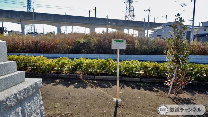 つくばエクスプレス【駅ぶら】067　流山おおたかの森駅　その9　市野谷天神社