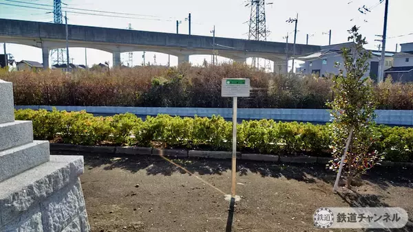 「つくばエクスプレス【駅ぶら】067　流山おおたかの森駅　その9　市野谷天神社」の画像