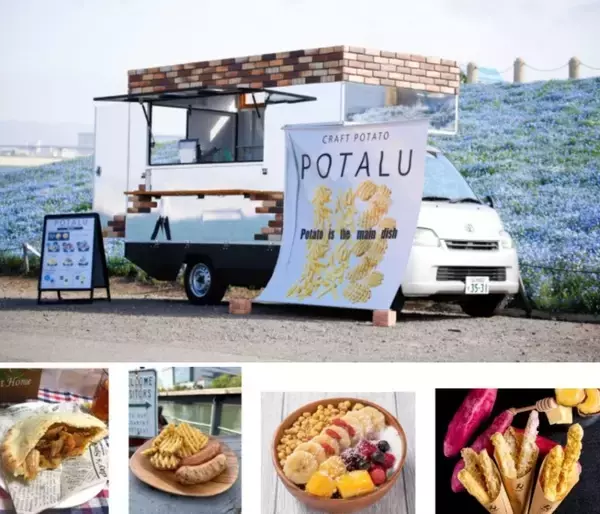 「関西最大級の名所は今が見頃「舞洲ネモフィラ祭り2026」開催中！ 約100万株が満開の“青の楽園”へ  GWの混雑回避ルート＆夕陽絶景ガイド」の画像