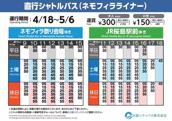 「関西最大級の名所は今が見頃「舞洲ネモフィラ祭り2026」開催中！ 約100万株が満開の“青の楽園”へ  GWの混雑回避ルート＆夕陽絶景ガイド」の画像