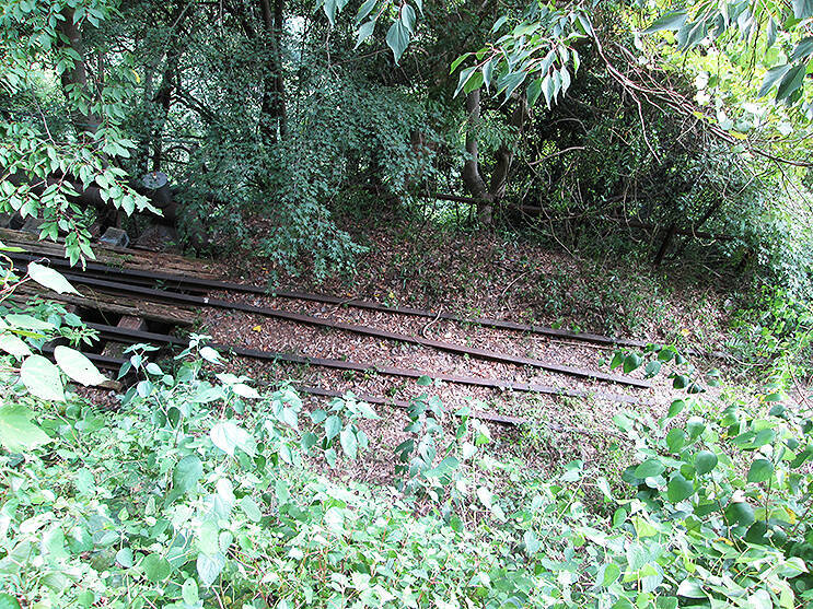 山間にいまもひっそりとある線路を探しに 都内 日帰り電車旅 22年4月25日 エキサイトニュース
