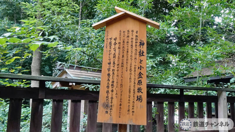 つくばエクスプレス【駅ぶら】060　流山おおたかの森駅　その2　諏訪神社