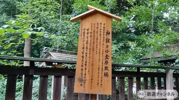「つくばエクスプレス【駅ぶら】060　流山おおたかの森駅　その2　諏訪神社」の画像